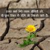 Последние твиты от hindi quotes हिंदी (@quotes_hindi). Https Encrypted Tbn0 Gstatic Com Images Q Tbn And9gcsqdxvdjdws Y8qlsgbipoft4gvi26vezla S22yuunwgbywb3c Usqp Cau
