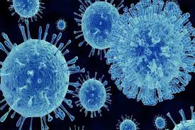 Наличието на norovirus е сигурен белег за заболяване, или става дума за оздравяли лица, които все още са. Inovasi Teknologi Ampuh Deteksi Norovirus Dengan Aplikasi Teknologi Bisnis Com
