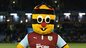 Manchester city fc iconic mcs men's track jacket. Every Premier League Football Mascot From Gunnersaurus To Fred The Red Beyond Goal Com