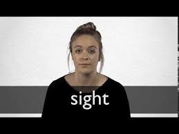 To look at through a sight; Sight Definition And Meaning Collins English Dictionary