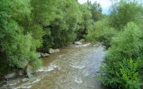 Լոռու մարզի Փամբակ գետում դի է հայտնաբերվել