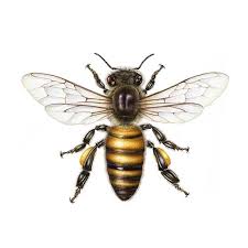 Image result for Queen bee