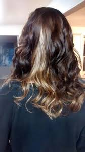 Brown With Blonde Underneath By Hannah Schobert Blonde Underneath Hair Blonde Underneath Brown Blonde Hair