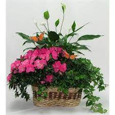 Blooming Garden Basket Garden Basket Same Day Flower Delivery Flower Delivery
