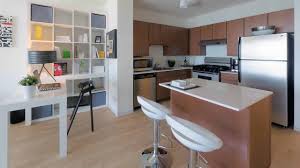 Pedestrian access is from wacker dr. Tour A North View 1 Bedroom At Coast At Lakeshore East Youtube