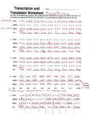 The connection between genes and proteins. Transcription And Translation Worksheet Key Kidz Activities Awesome Transcription And Translation Transcription And Translation Worksheet Biology Worksheet