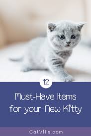 Pin On Cat Health Guide
