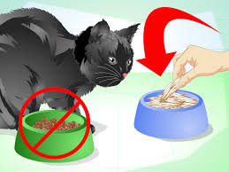 However, sometimes the goop in their tear ducts can be a sign of a sickness on the horizon. 3 Ways To Get Rid Of Bad Cat Breath Wikihow