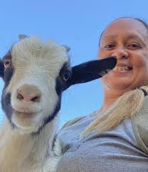 My goats have diarrhea. What should I do?