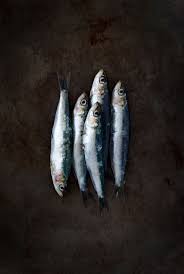 Sardines Photographie Culinaire Les Sardines Et Stylisme Culinaire