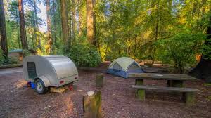 Check spelling or type a new query. Where To Camp With Your Rv In Redwood National Park