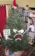 Weird Christmas Trees