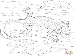 Pin On Coloring Pictures For Patterns