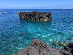 Image result for Ferraria