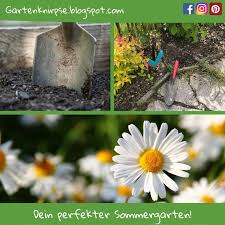 Dein Sommergarten Sommergarten Garten Unkraut