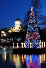 Cincinnati Zoo During Festival Of Lights Pachyderm House In The Background Cincinnati Ohio Cincinnati Zoo Festival Lights Cincinnati