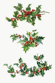 Festive Holly Leaves Set Transparent Png Premium Image By Rawpixel Com Kwanloy Chr Christmas Holly Images Christmas Wallpaper Free Christmas Poster Design