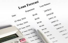 Ordering a product through these links may result in a commission. Bi Weekly Loan Repayment Calculator