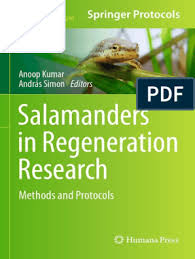 Salamander kitchen equipment history forms. Methods In Molecular Biology 1290 Anoop Kumar Andras Simon Eds Salamanders In Regeneration Research Methods And Protocols Regeneration Biology Transposable Element