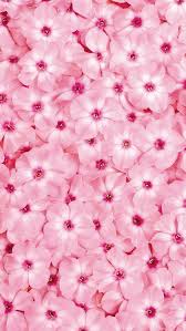 Iphone 5c Wallpaper Pink Flowers Wallpaper Pink Wallpaper Iphone Retina Wallpaper