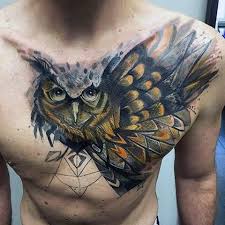 Top 97 Best Owl Tattoo Ideas In 2021 Owl Tattoo Chest Tattoos For Guys Colorful Owl Tattoo