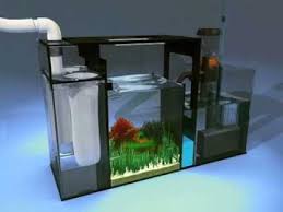 Aqueon Proflex Sump Refugium Setup Youtube Saltwater Aquarium Aquarium Sump Aquarium Fish Tank