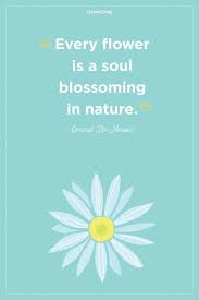 Flower Quotes To Inspire Growth Flower Quotes Inspirational Flower Quotes Inspirational Quotes
