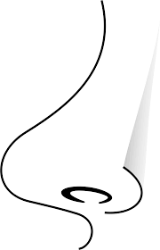 Maybe you would like to learn more about one of these? Simple Line Drawing Nose Novocom Top