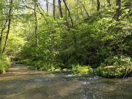 headwaters of sinking creek : ranch for