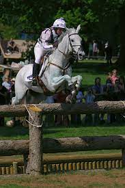 True failure is forgetting the pioneer spirit! Eventing Wikipedia