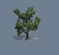 Simple Tree 01 This Royalty Free 3d Model Or Texture Is Available For Download Now This Is A Package With A Total Of 10 Different Simple Tree 3d Model Model