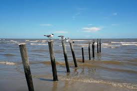 Vrbo offers beach homes sitting along the coastline, and also condos as well as apartments whitney houston did have a home in laguna beach california. 11 Best Beaches Near Houston Lone Star Travel Guide