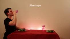 How do mammals get their food? How Animals Eat Their Food 9 Gifs I Can Has Cheezburger