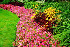Maybe you would like to learn more about one of these? All Season Flower Garden How To Plan The Home Depot Canada