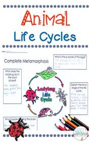 152 Best Animal Life Cycles Images Life Cycles Science