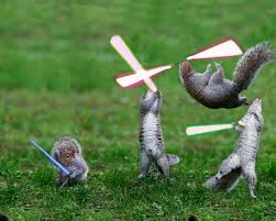 Jedi Squirrels By Mark White 500px Squirrel Geek Humor Diy Wind Chimes