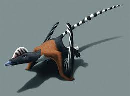 Image result for Pteris atrovirens