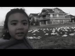 haley nolan ❁ (@haley_nolan16)