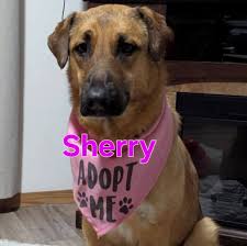 Congratulations Alexis...