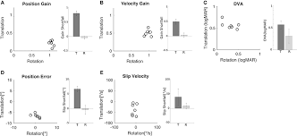 Frontiers Vestibulo Ocular Responses And Dynamic Visual