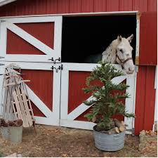 Feeling down in the dumps because christmas is a year away? 14 Ideas For Stylish Horse Christmas Decorations Hawk Hill