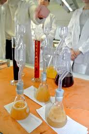 Chemie Bw Forderung Fur Die Realschule Neckargemund 1 500 Euro Fur Mehr Praktischen Chemie Unterricht