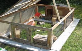 Http Www Kleintierhilfe Muenchen De Resources Gehege Meeri Indy Alfi Gehege 2001 Jpg Meerschweinchenstall Meerschweinchen Gehege Kaninchengehege