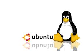 Image result for linux penguin wallpaper