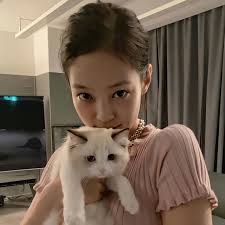 See more ideas about blackpink, blackpink memes, blackpink funny. Jennie Cute Tumblr Posts Tumbral Com
