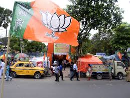 Bjp flag hd high quality 1080/1920p video effects. Son Refuses To Vote For Mother In India Election Then Explains Why On Facebook After She Loses By Six Votes The Independent The Independent
