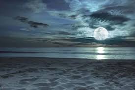 Can We Safely Night Swim At The Beach Active At The Beach Trouvez les ocean at night images et les photos d'actualités parfaites sur getty images. can we safely night swim at the beach