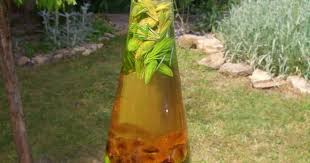 Tannenspitzenlikor Nach Oma Friedel S Altem Hausrezept Gerade Jetzt Um Diese Jahreszeit Sprie Alkohol Getranke Rezepte Krauterzauber Holunderbluten Rezepte