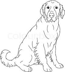 Labrador Head Template Vector Labrador Retriever Contour Isolated On Background Pencil Drawings Of Animals Dog Coloring Page Dog Drawing