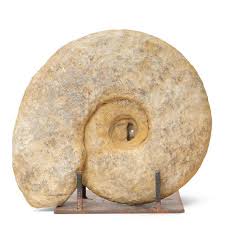 Image result for Calvoa